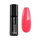 DN322 - Blushing Coral 7ml